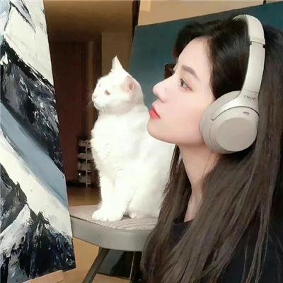 蝴蝶春梦